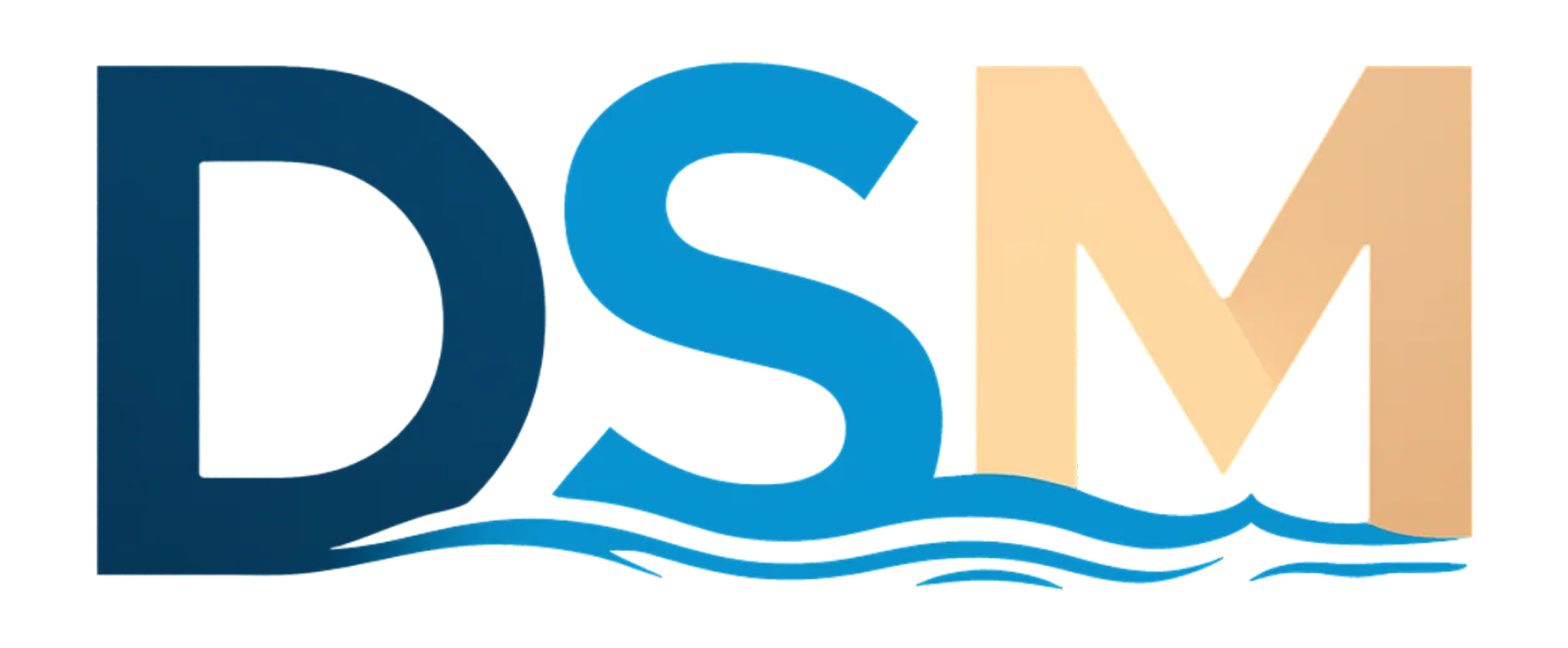 DSM logo